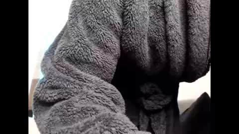 Sheril  online show from March 6, 2026, 6:48 pm