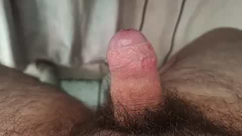 Snapshot of shyguy115935 chatting on December 9, 2024, 7:39 pm me online show from December 9, 2024, 7:39 pm