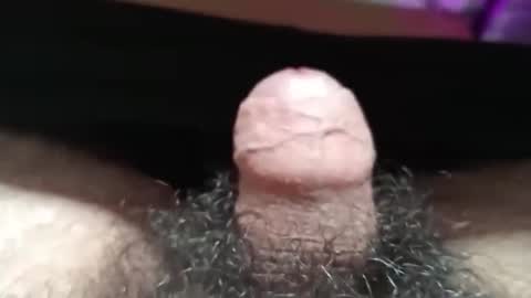 Snapshot of shyguy115935 chatting on October 26, 2025, 7:31 pm me online show from October 26, 2025, 7:31 pm