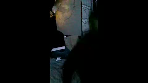 shylom online show from February 15, 2026, 5:26 am