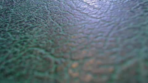 Tom and Betty online show from February 19, 2026, 6:42 am