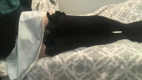 shysissy12 online show from September 28, 2025, 1:05 pm