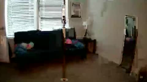 shypetitebaby online show from May 1, 2026, 5:50 pm