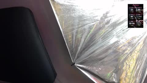 Snapshot of sienna_rose_pym chatting on February 5, 2026, 12:10 pm Sienna online show from February 5, 2026, 12:10 pm