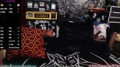 Allmylinkssilentmary666 online show from December 28, 2024, 7:43 pm