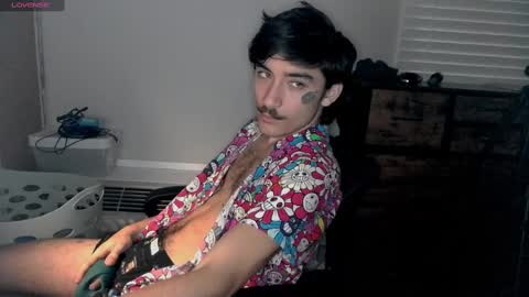 Snapshot of silly_cybin chatting on January 15, 2025, 12:25 pm cybin online show from January 15, 2025, 12:25 pm