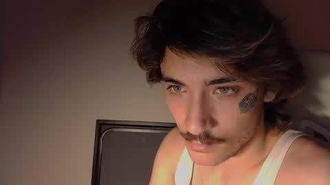 Snapshot of silly_cybin chatting on November 7, 2025, 6:13 am cybin online show from November 7, 2025, 6:13 am