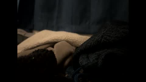 tigre online show from February 13, 2025, 1:40 am