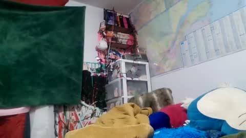 Siofra online show from September 14, 2025, 2:22 am