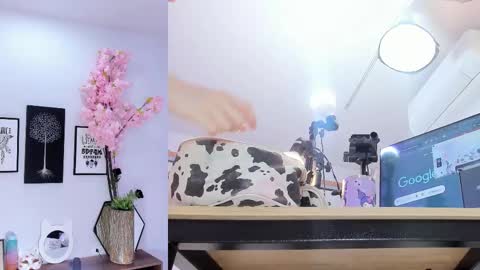 Siouxsie online show from February 15, 2026, 11:19 am