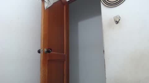 Snapshot of sirajones chatting on March 2, 2025, 2:30 am sirajones online show from March 2, 2025, 2:30 am