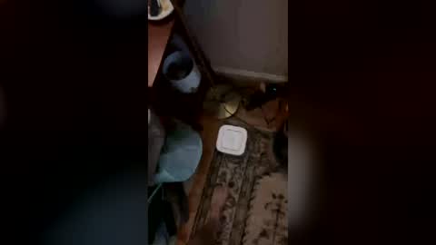 Snapshot of sirbustanuttt chatting on July 6, 2026, 8:22 pm sirbustanuttt online show from July 6, 2026, 8:22 pm