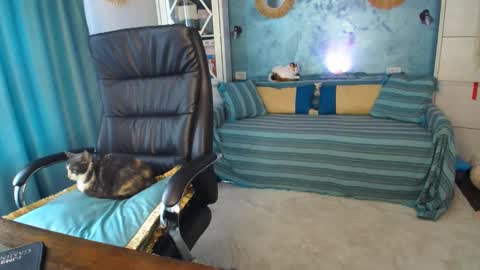 Snapshot of siriamasha chatting on May 17, 2026, 1:51 pm Amasha11 online show from May 17, 2026, 1:51 pm