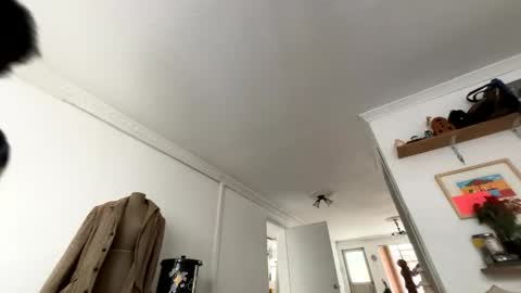 Snapshot of siriss_boyrag chatting on February 14, 2026, 2:14 pm siriss_boyrag online show from February 14, 2026, 2:14 pm