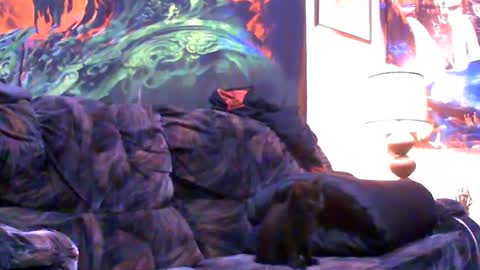 Jimmy B online show from January 4, 2025, 5:05 am