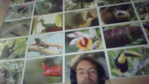 Snapshot of sji123 chatting on February 22, 2025, 6:06 am sji123 online show from February 22, 2025, 6:06 am