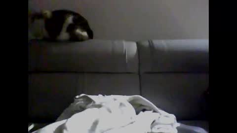 Snapshot of skater19xxx chatting on December 2, 2024, 4:09 am miguel online show from December 2, 2024, 4:09 am