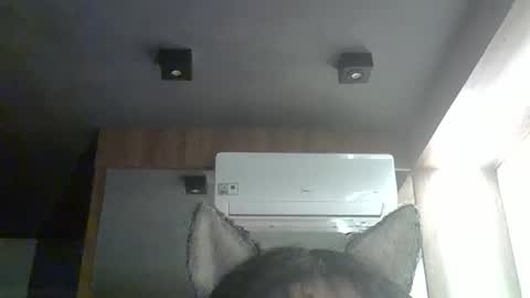skinnykittencam online show from January 11, 2026, 12:26 am