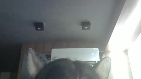 skinnykittencam online show from April 9, 2026, 1:16 am