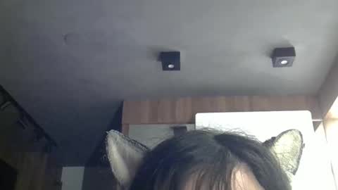 skinnykittencam online show from April 12, 2026, 4:28 am