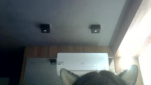 Snapshot of skinnykittencam chatting on June 19, 2026, 12:04 am skinnykittencam online show from June 19, 2026, 12:04 am