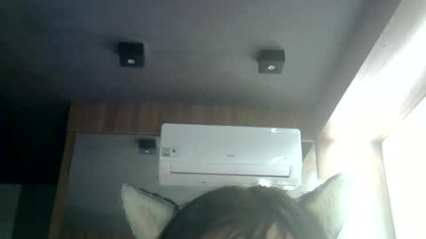 Snapshot of skinnykittencam chatting on June 25, 2026, 3:39 am skinnykittencam online show from June 25, 2026, 3:39 am