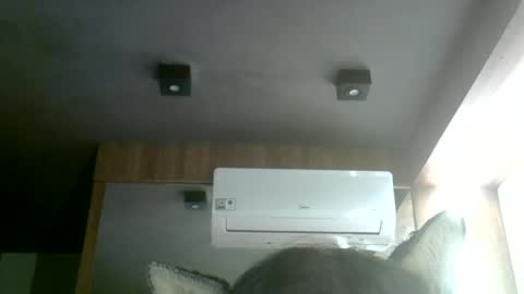 Snapshot of skinnykittencam chatting on July 2, 2026, 5:24 am skinnykittencam online show from July 2, 2026, 5:24 am