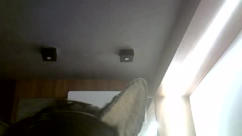 Snapshot of skinnykittencam chatting on July 4, 2026, 6:25 pm skinnykittencam online show from July 4, 2026, 6:25 pm