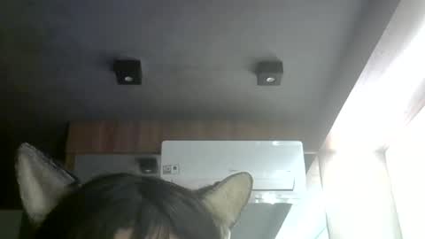 Snapshot of skinnykittencam chatting on July 8, 2026, 9:03 am skinnykittencam online show from July 8, 2026, 9:03 am