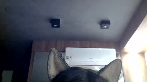 Snapshot of skinnykittencam chatting on July 12, 2026, 7:43 am skinnykittencam online show from July 12, 2026, 7:43 am