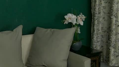 Snapshot of skinnynatty chatting on April 26, 2026, 3:48 am Natty online show from April 26, 2026, 3:48 am