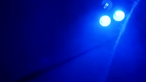 Skinz038 online show from April 22, 2026, 10:50 am