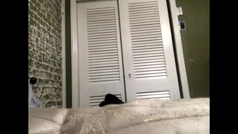 Snapshot of slangindopee chatting on January 22, 2025, 11:56 am Slangindopee online show from January 22, 2025, 11:56 am