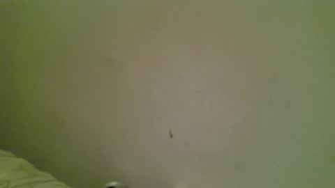 Snapshot of sleepyg1981 chatting on October 18, 2025, 6:16 am Bottmboitwink online show from October 18, 2025, 6:16 am