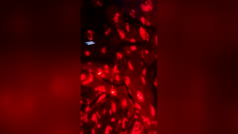 slicknick1988 online show from May 27, 2026, 7:38 am