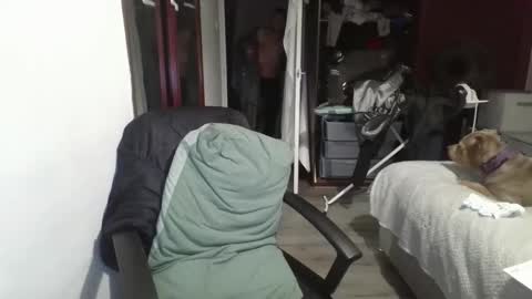 Slim984 online show from November 4, 2025, 4:44 am