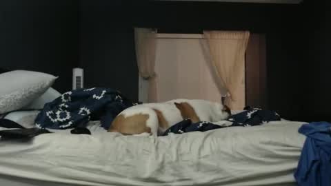 slimjp online show from February 7, 2026, 2:26 am