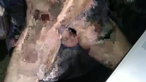 slyfast1 online show from December 18, 2025, 5:02 am