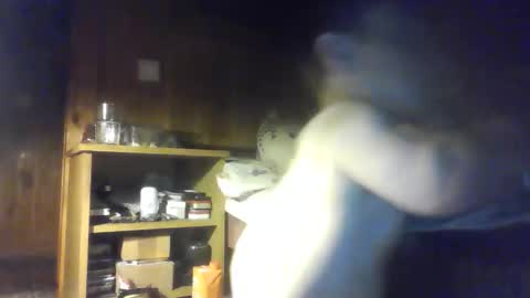 PIST PIST online show from October 9, 2025, 6:28 pm