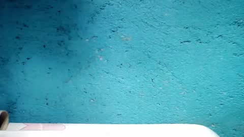 jess online show from January 5, 2025, 5:09 pm