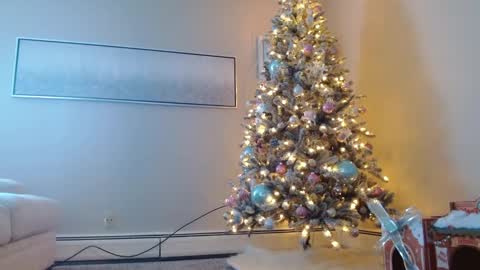 Smexy online show from December 1, 2024, 5:24 pm