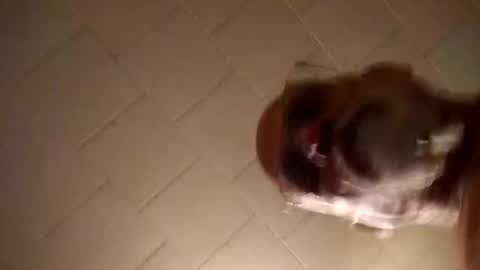 Snapshot of smithology chatting on December 19, 2024, 1:18 am Smithology online show from December 19, 2024, 1:18 am