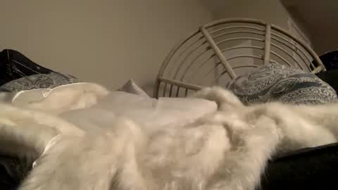 Snapshot of smoke4daddy chatting on October 2, 2025, 12:56 pm Smoke4Daddy online show from October 2, 2025, 12:56 pm