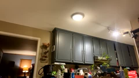 smokeymt420 online show from February 9, 2025, 9:37 am