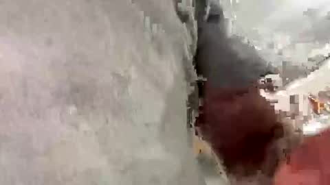 smokeymt420 online show from November 5, 2025, 4:01 am