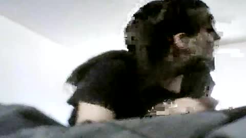 Snapshot of sn0wman071 chatting on June 20, 2026, 6:22 pm sn0wman071 online show from June 20, 2026, 6:22 pm