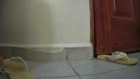 snowbell91 online show from January 27, 2025, 8:29 am