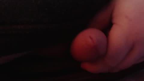 Tom online show from January 26, 2025, 1:47 pm