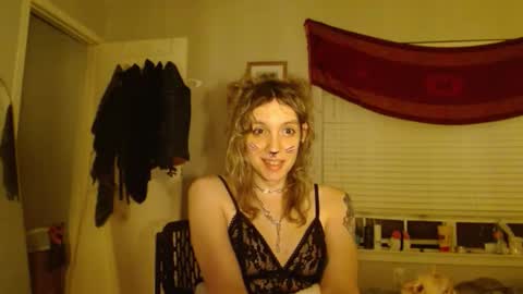 Snapshot of soffpurr chatting on November 1, 2025, 8:38 am Lilytea online show from November 1, 2025, 8:38 am