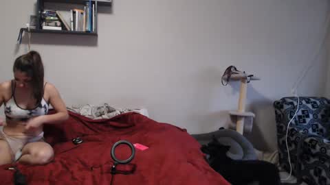 Sofi online show from December 12, 2024, 11:29 am